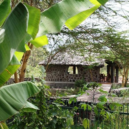 Kiboko Lodge Usa River Dış mekan fotoğraf