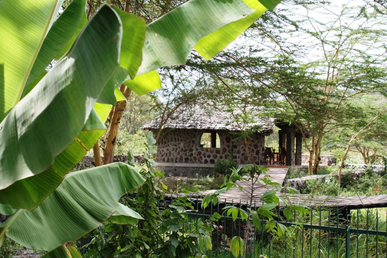 Kiboko Lodge Usa River Dış mekan fotoğraf