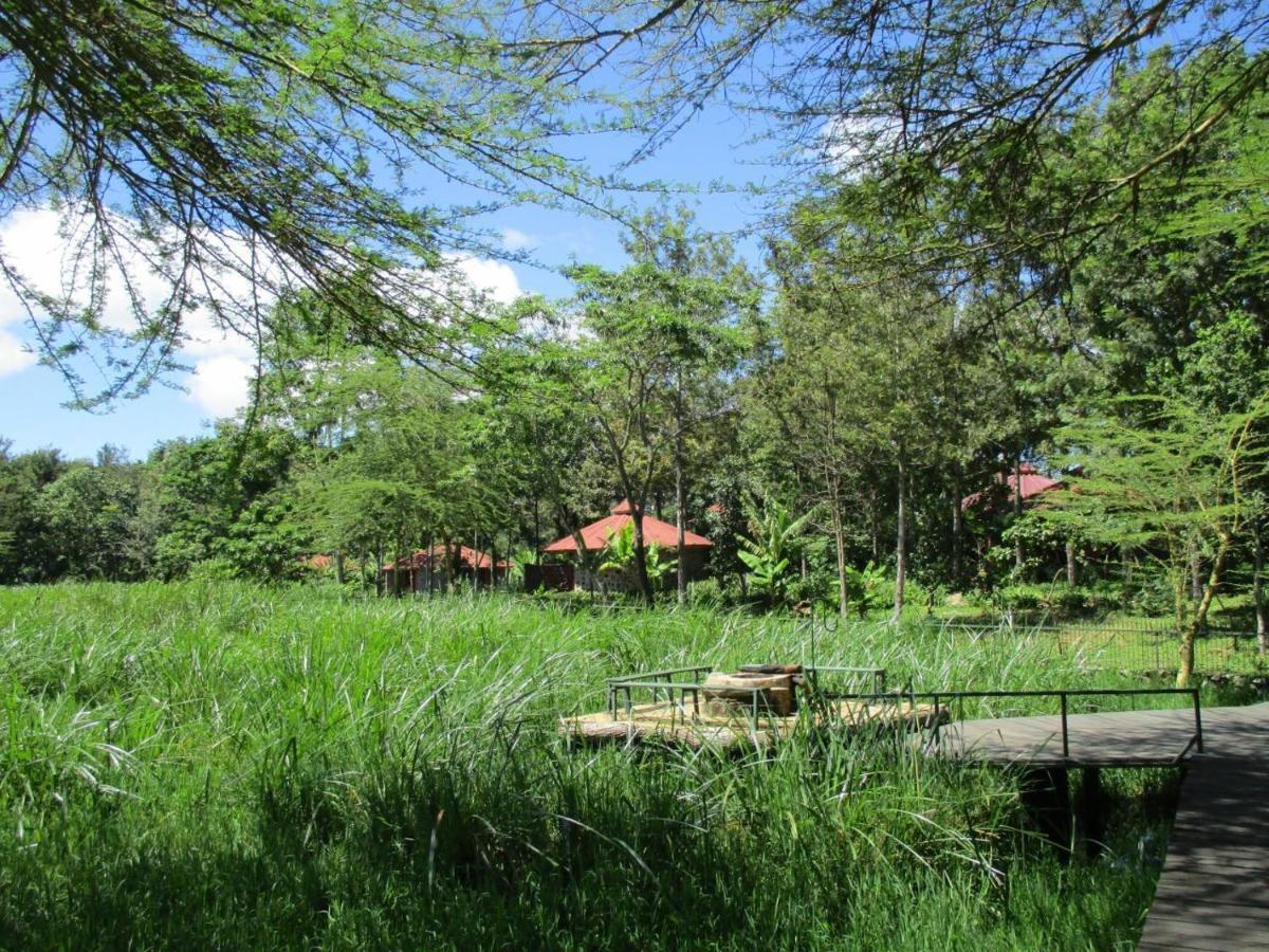 Kiboko Lodge Usa River Dış mekan fotoğraf